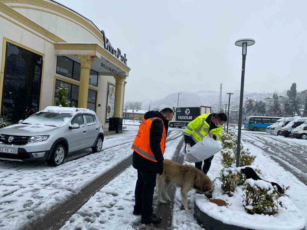 Ordu Büyükşehir Belediyesi