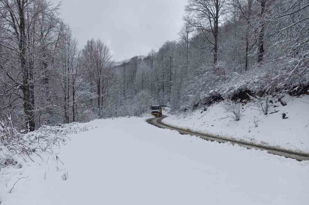 Ordu Büyükşehir Belediyesi