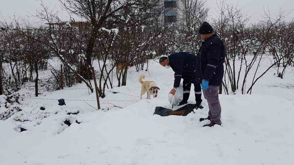 Ordu Büyükşehir Belediyesi