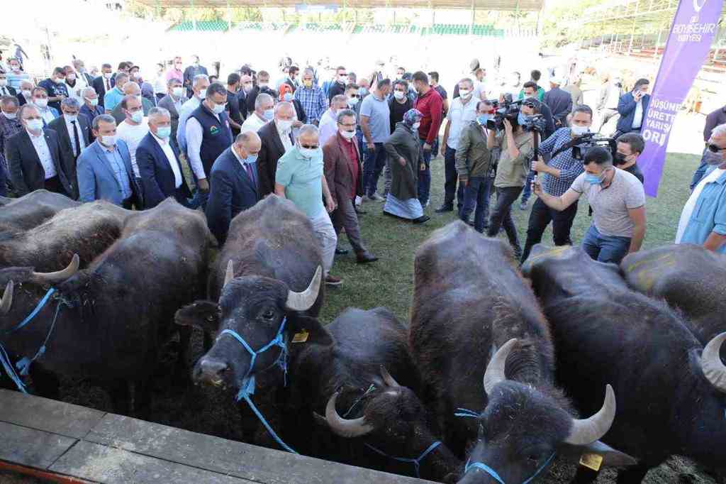 Ordu Büyükşehir Belediyesi