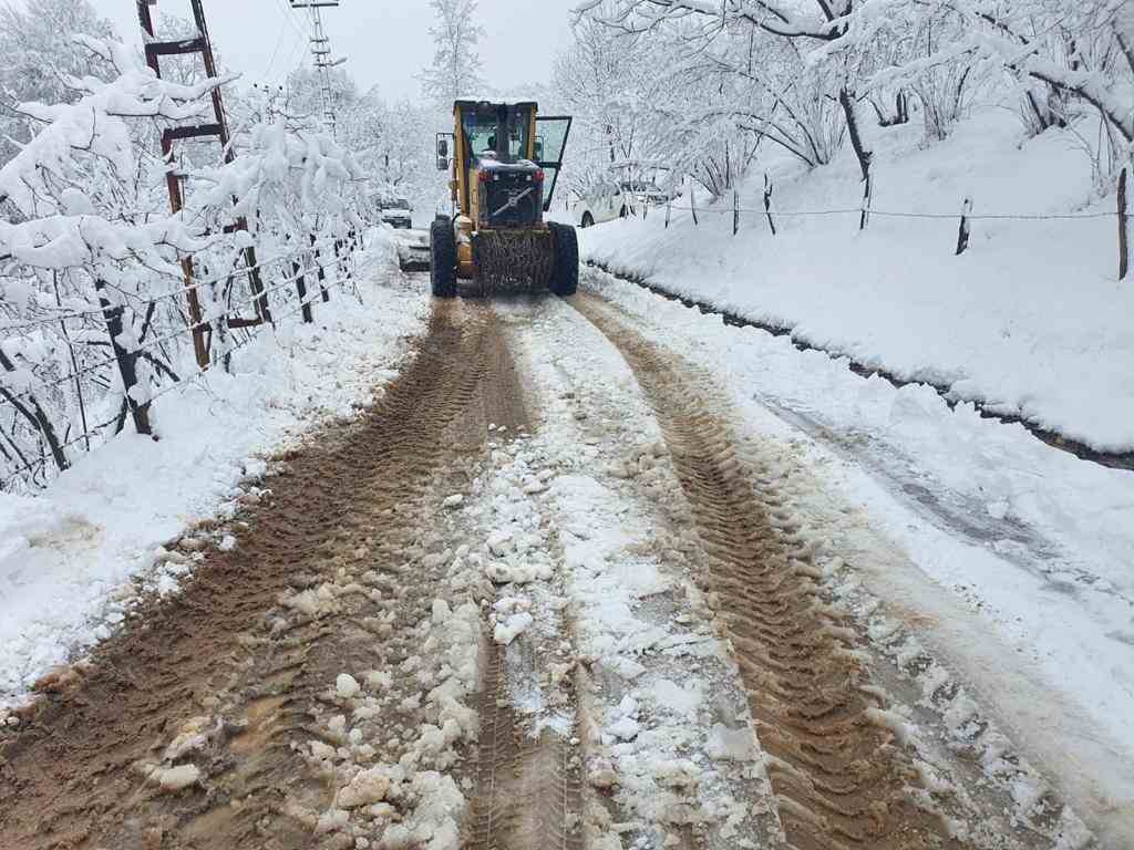 Ordu Büyükşehir Belediyesi