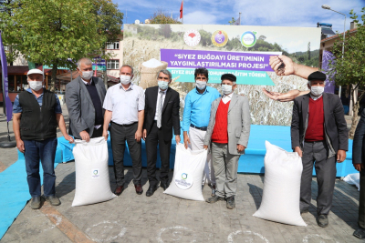 BUĞDAYIN ATASI ORDU TOPRAKLARINDA