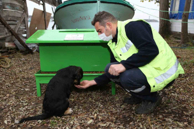 BÜYÜKŞEHİR CAN DOSTLARI UNUTMADI