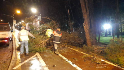 BÜYÜKŞEHİR GECE BOYU TEYAKKUZDAYDI