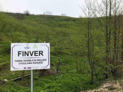 FINVER PROJESİ İL SINIRLARINI AŞTI
