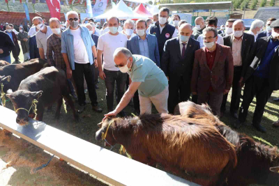 HAYVANCILIK YÜZ GÜLDÜRÜYOR