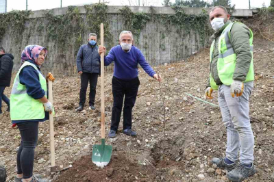 HER İLÇEYE AYRI MEYVE