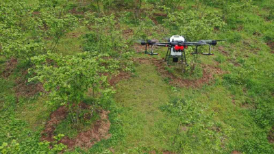 ORDU’DA İLAÇLARI ‘ZİHA’LAR ATACAK