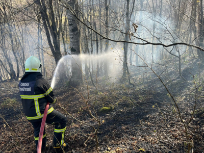 ORDU’DA SON BİR HAFTADA 40 YANGIN