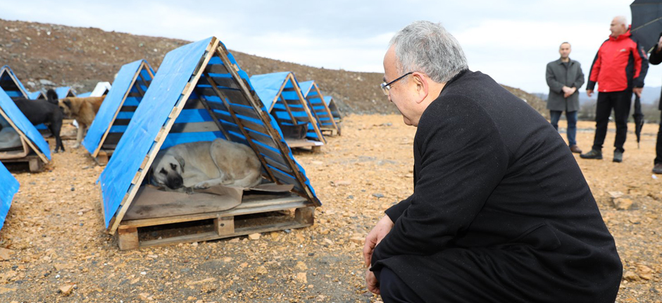 BAŞKAN GÜLER ÜNYE’DE İNCELEMELERDE BULUNDU