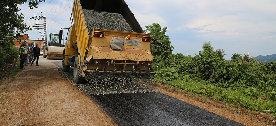 BÜYÜKŞEHİR ARI GİBİ