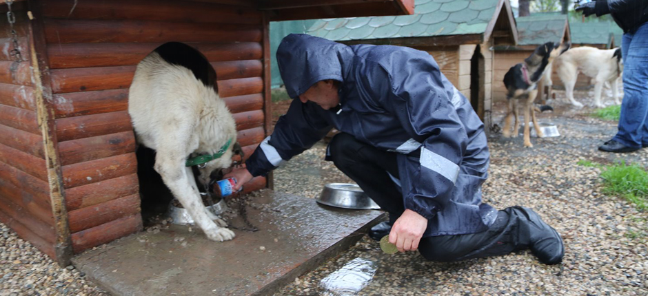 BÜYÜKŞEHİRDEN HAYVAN DUYARLILIĞI