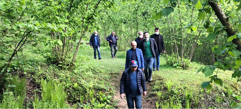 ÇAMAŞ HİZMETE DOYACAK