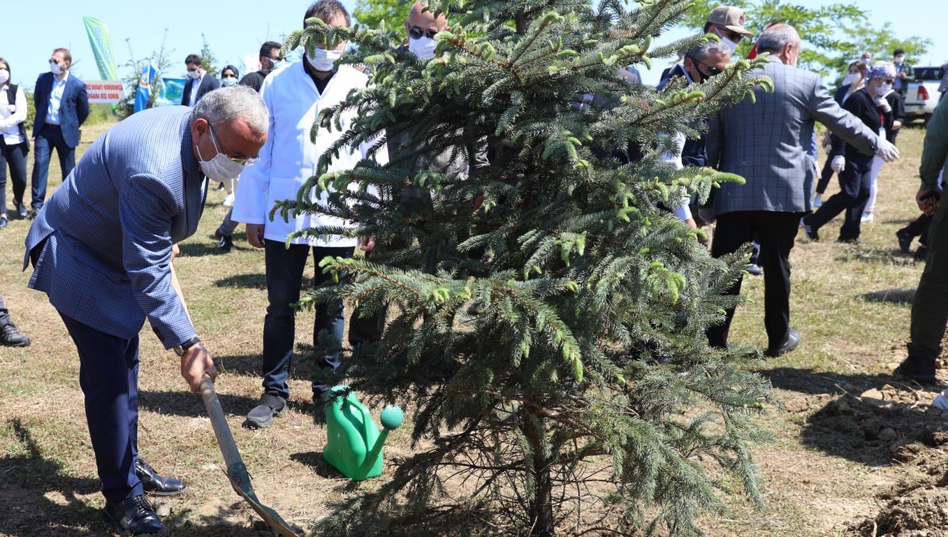 ÇEVRE GÜNÜNDE FİDANLAR TOPRAKLA BULUŞTU