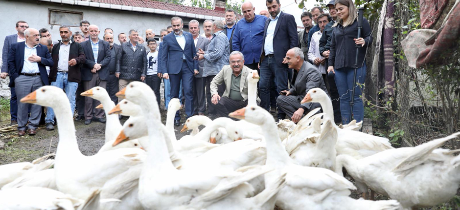 DAMIZLIK KAZLAR YERİNDE İNCELENDİ