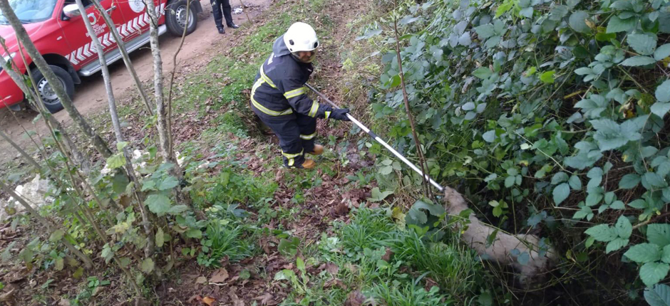 DEREYE DÜŞEN YAVRU KÖPEĞİ İTFAİYE KURTARDI