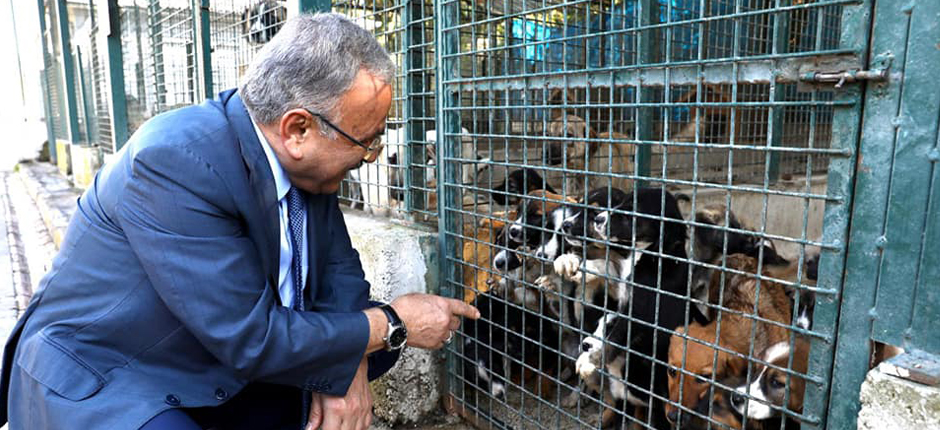 GÜLER’DEN CAN DOSTLARA ZİYARET