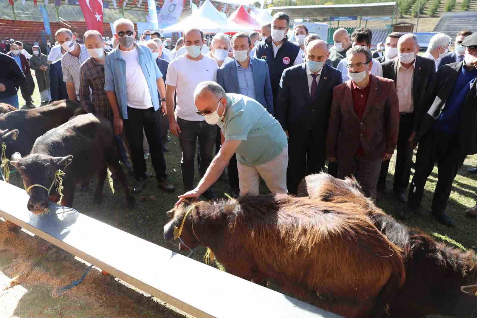 HAYVANCILIK YÜZ GÜLDÜRÜYOR