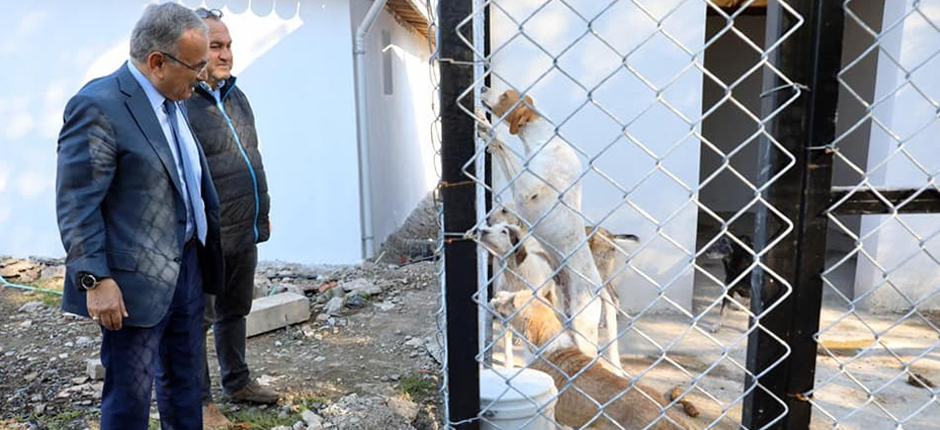 HİLMİ GÜLER’DEN CAN DOSTLARA ŞEFKAT