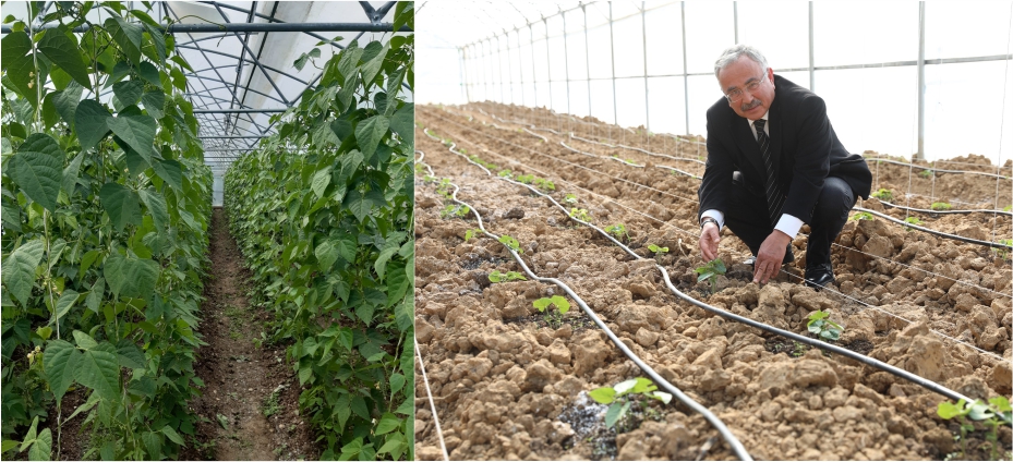 İLÇELER ÜRETİMİN MERKEZİ OLDU