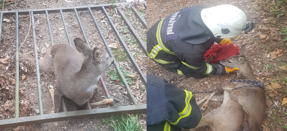 İTFAİYE KARACA İÇİN SEFERBER OLDU