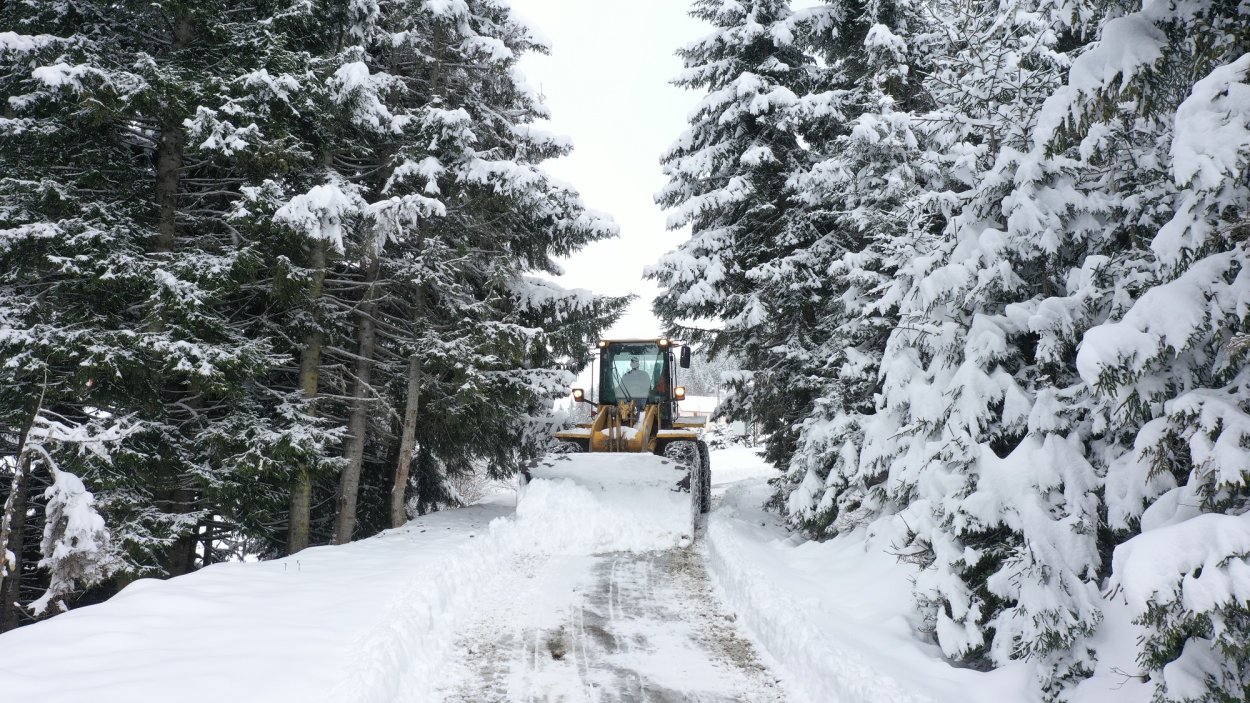 KIRSALDA KARLA MÜCADELE SÜRÜYOR