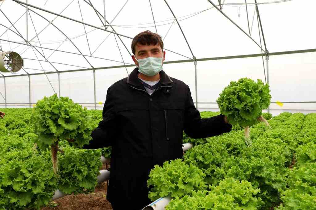 KIŞLIK SEBZELER YÜZ GÜLDÜRDÜ