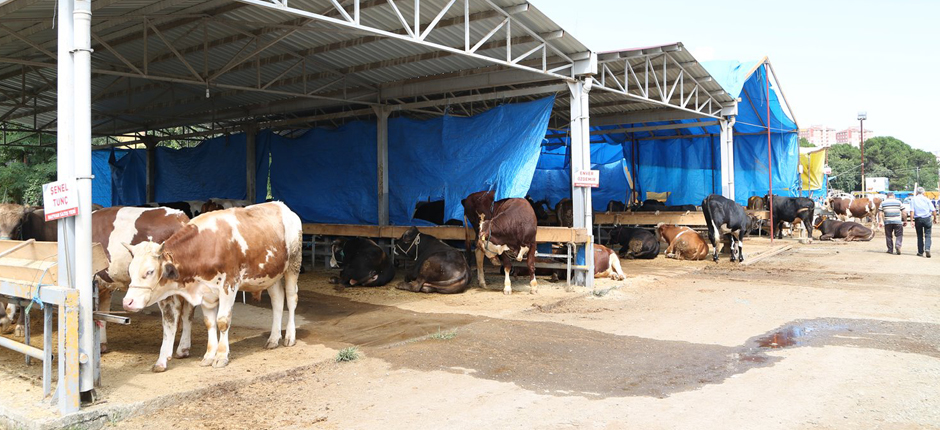 KURBAN BAYRAMI HAZIRLIKLARI TAMAMLANDI