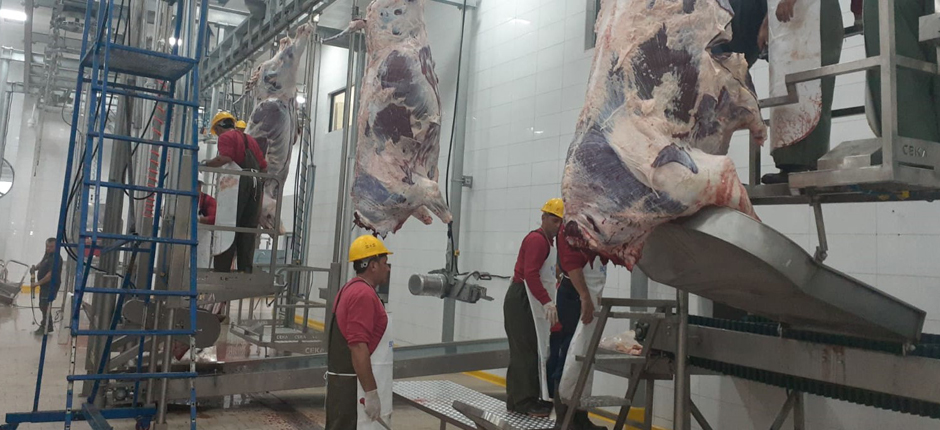 MEZBAHA VE HAYVAN PAZARI AÇILIŞA HAZIR