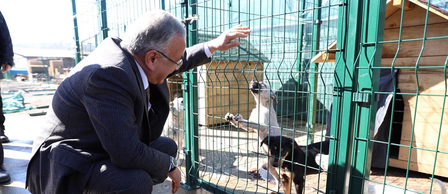 MODERN ŞEHİRCİLİK ANLAYIŞINA UYGUN HAYVAN BARINAĞI