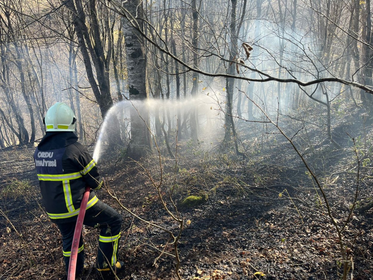 ORDU’DA SON BİR HAFTADA 40 YANGIN