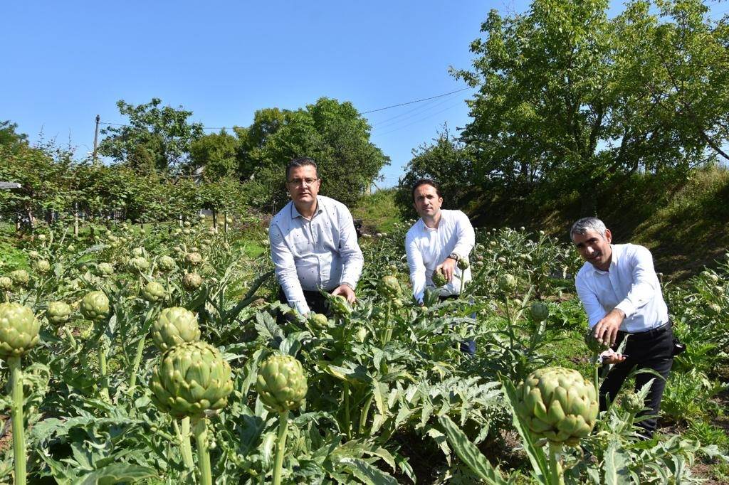 ORDU’DA TARIMSAL ÜRÜN ÇEŞİTLİLİĞİ ARTIYOR