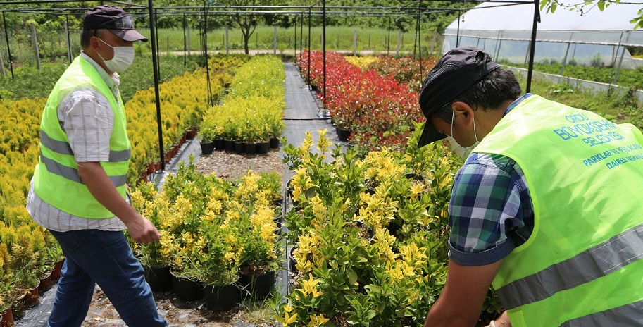 ORDU’DA TÜKETİLEN ORDU’DA ÜRETİLECEK
