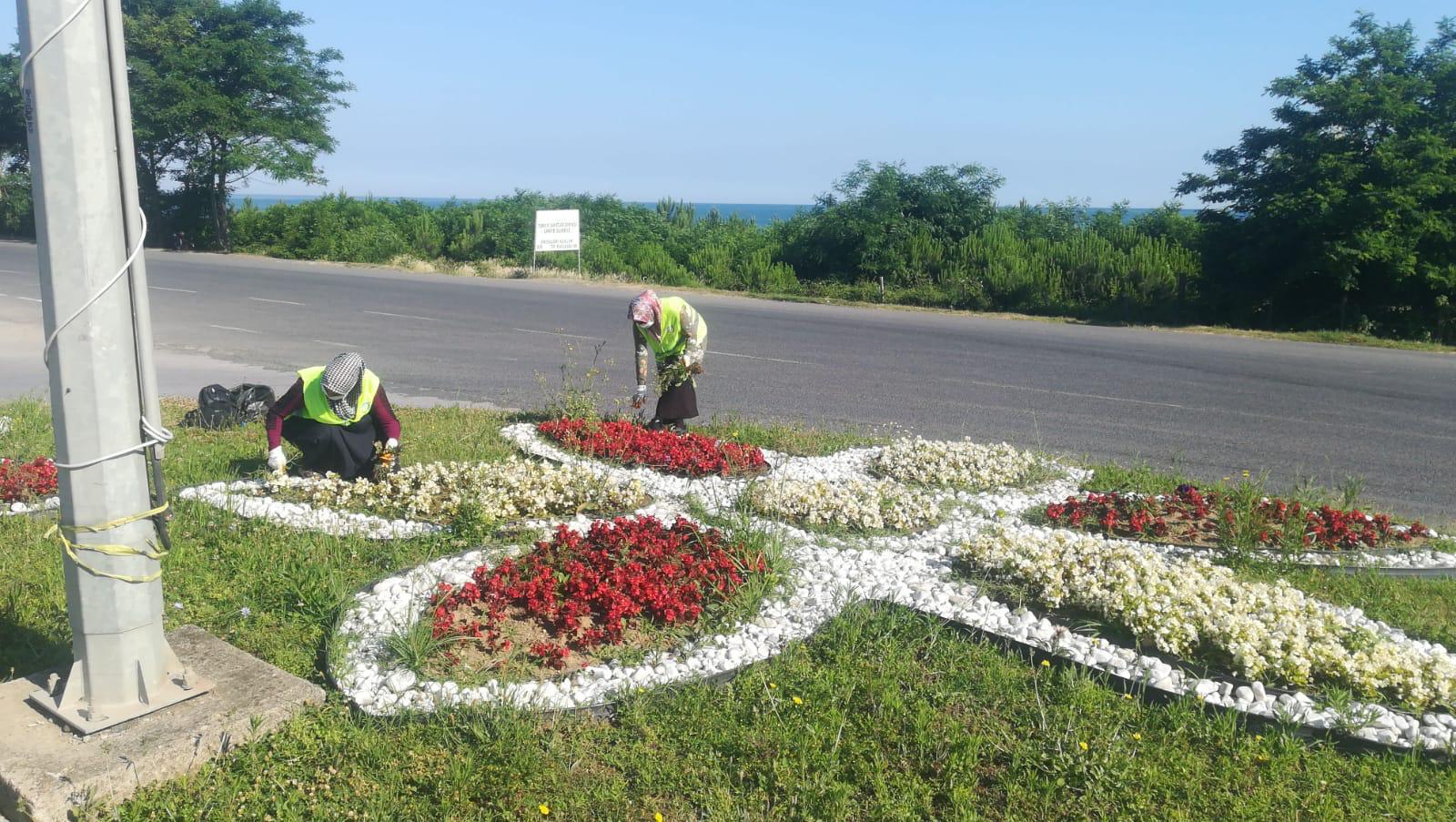 ORDU’DA YAZ TEMİZLİĞİ
