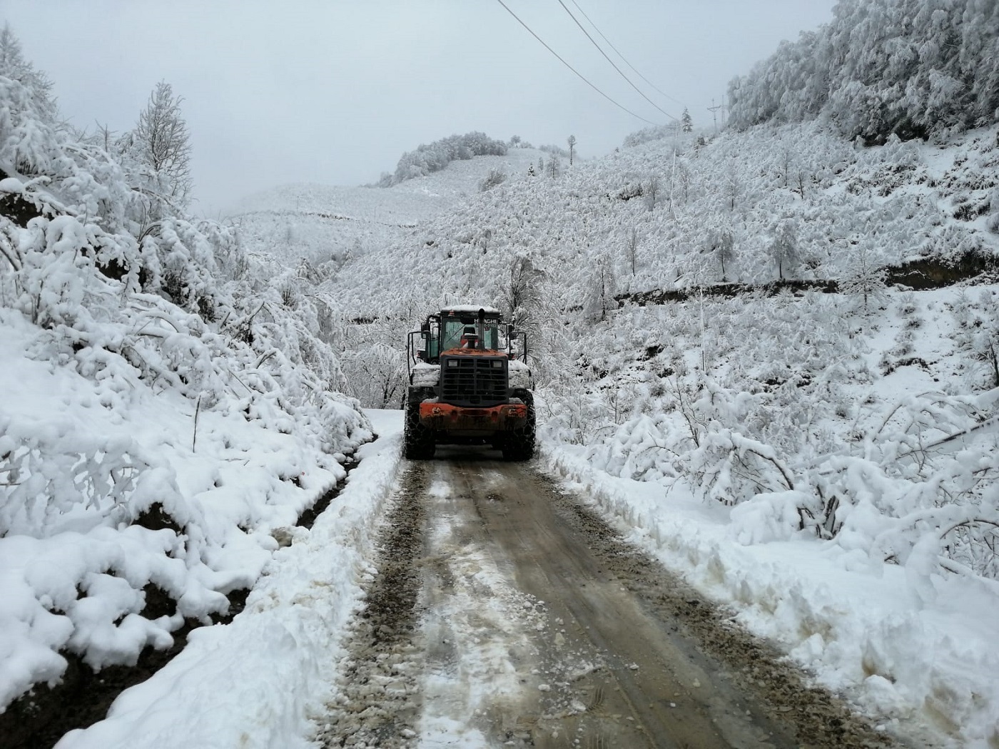 ORDU’NUN YOLLARI AÇIK