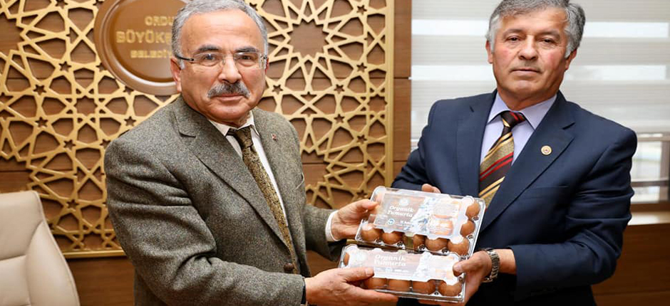ORDU, ORGANİK YUMURTANIN MERKEZİ OLACAK