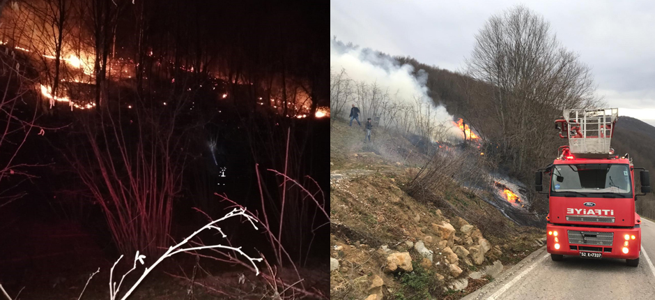 ORMAN YANGINLARI KONTROL ALTINA ALINDI