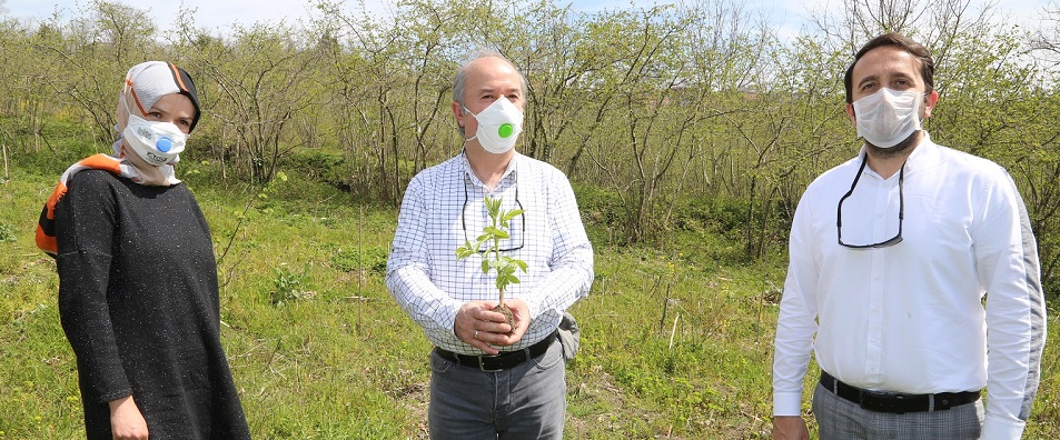 ORTAR “KARA MÜRVER” ÜRETİMİNE BAŞLADI