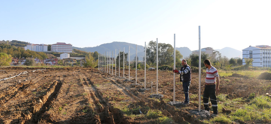 ÖRTÜ ALTI YETİŞTİRİCİLİĞİN GELİŞTİRME PROJESİ DEVAM EDİYOR