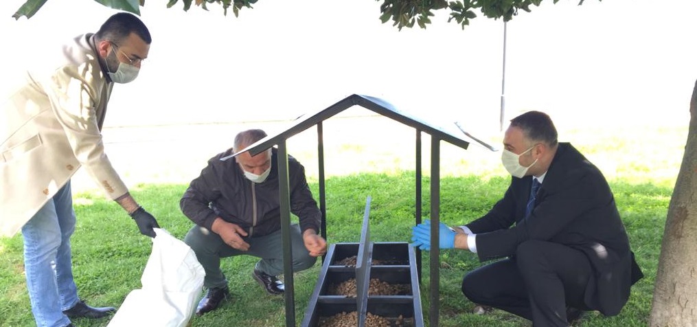 RAMAZAN AYINDA SOKAK HAYVANLARINA OLAN HASSASİYET ARTIRILDI