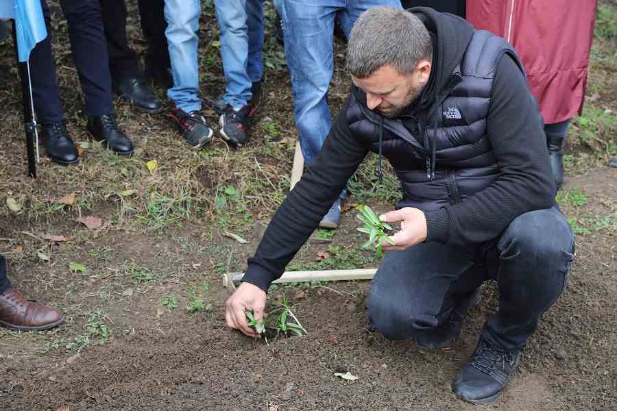 SALEP ÜRETİMİ BAŞLIYOR