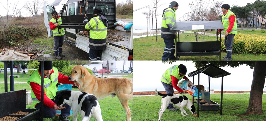 SOKAK HAYVANLARI İÇİN DE TEDBİR ALINDI