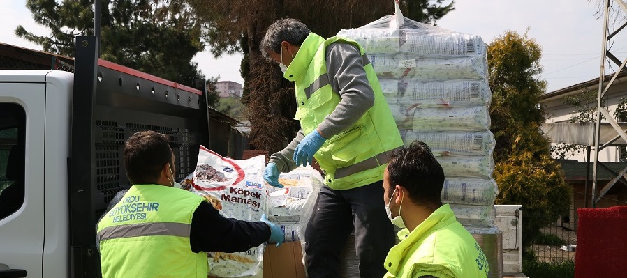 SOKAK HAYVANLARI UNUTULMUYOR