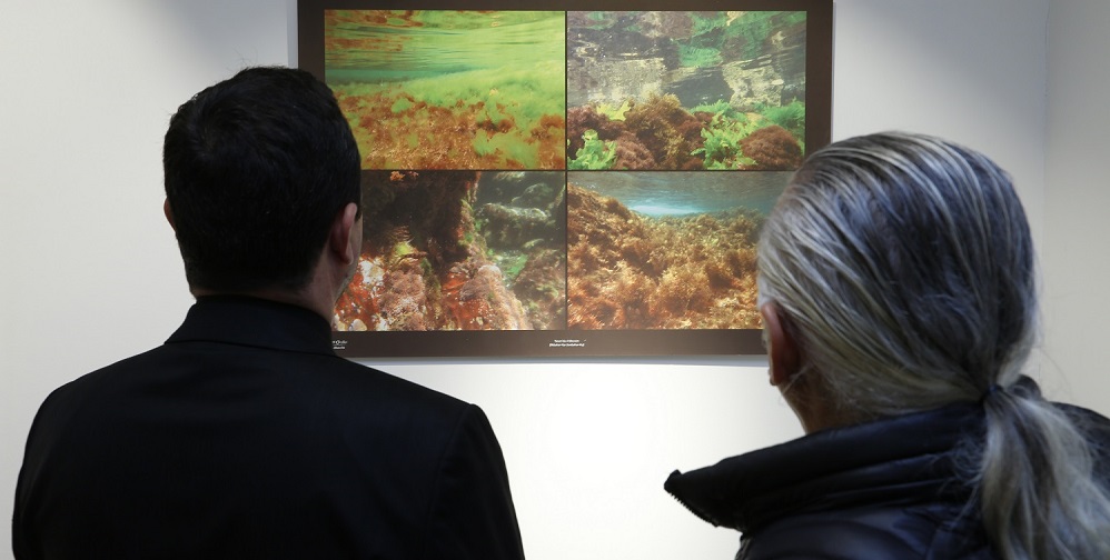 SU ALTI FOTOĞRAFLARI ÜNYE’DE 