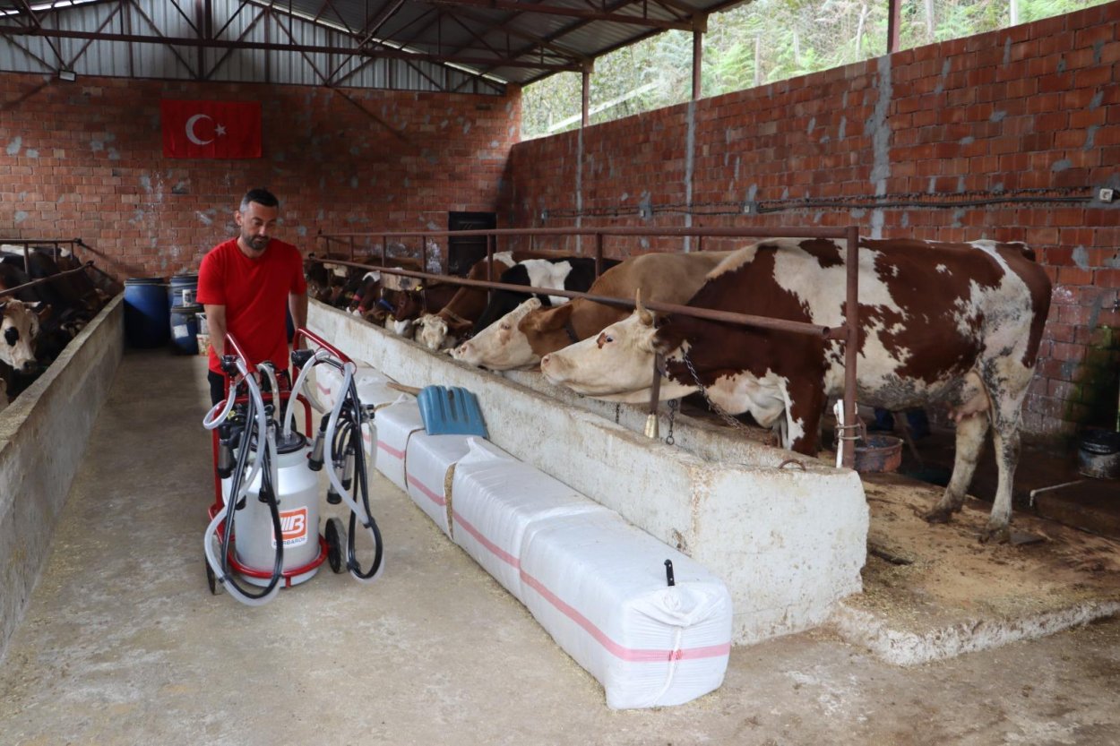 SÜTÜN DEĞERİ ARTIYOR, ÜRETİCİNİN YÜZÜ GÜLÜYOR