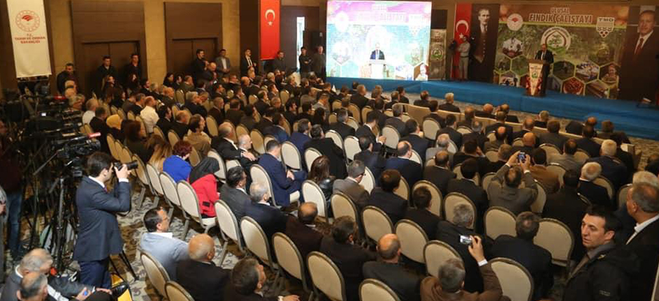 “ULUSAL FINDIK ÇALIŞTAYI” ORDU'DA YAPILDI