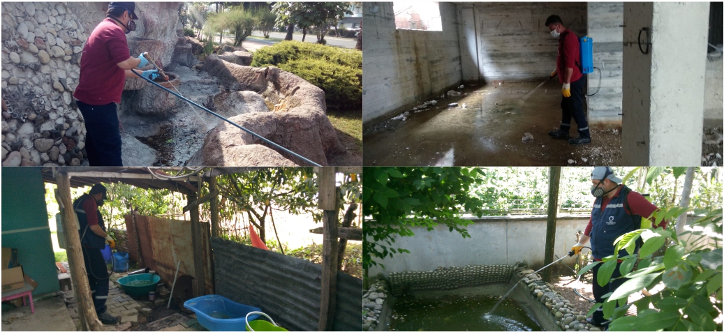 VEKTÖRLE MÜCADELEDE YAZ DÖNEMİ