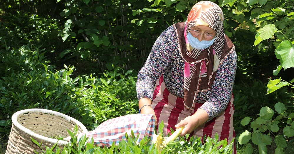 VONA ÇAYI ORTAR MARKASI İLE SATILACAK